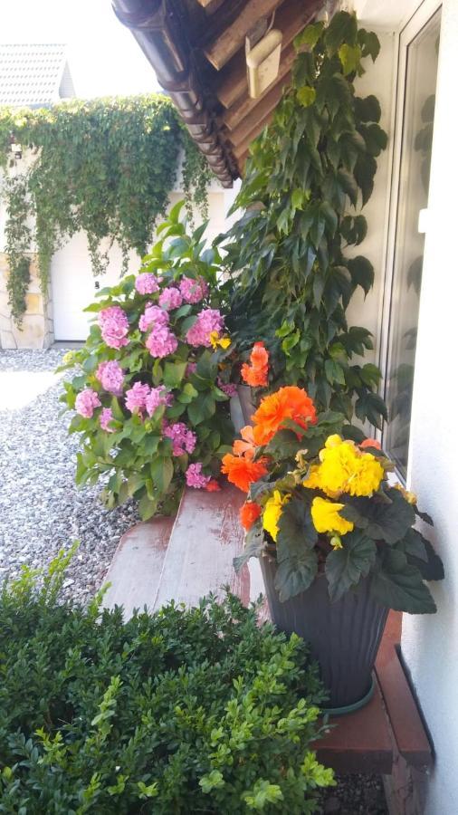 Apartamento Morska Bryza Ujście-Darłowskie Exterior foto